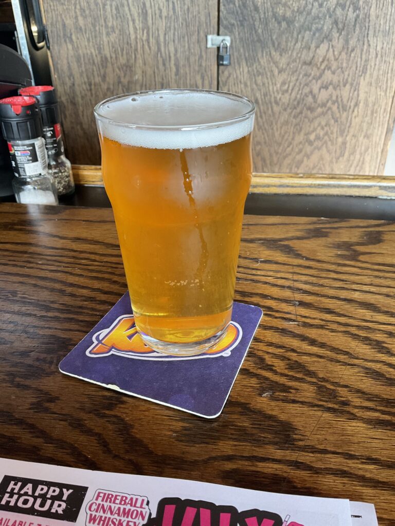 A glass of Brew Kettle White Rajah IPA. The beer is translucent amber with a head of white bubbles. 